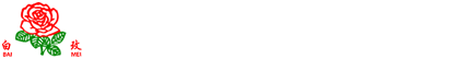 A8国际